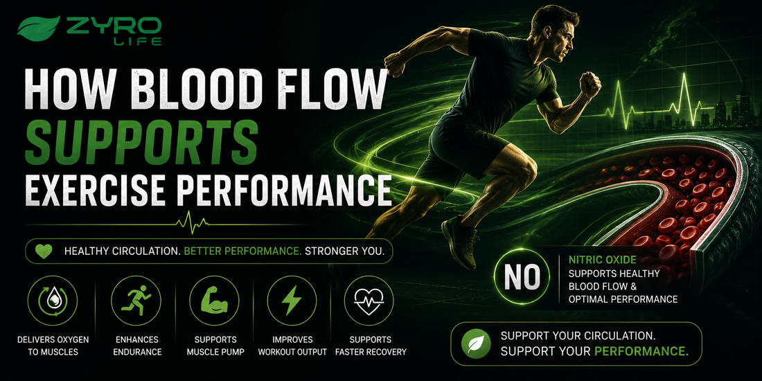 How Blood Flow Supports Exercise Performance