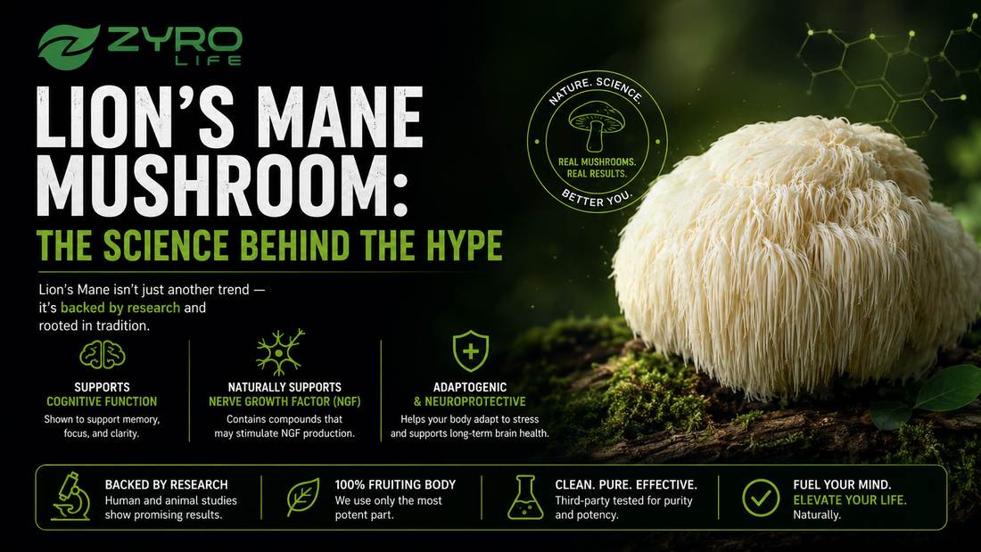 Lion's Mane Mushroom: The Science Behind the Hype