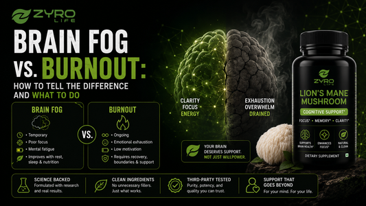 Brain Fog vs. Burnout: How to Tell the Difference and What to Do
