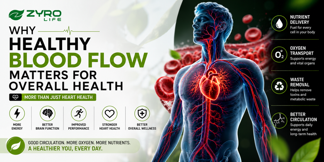 Why Healthy Blood Flow Matters for Overall Health: More Than Just Heart Health