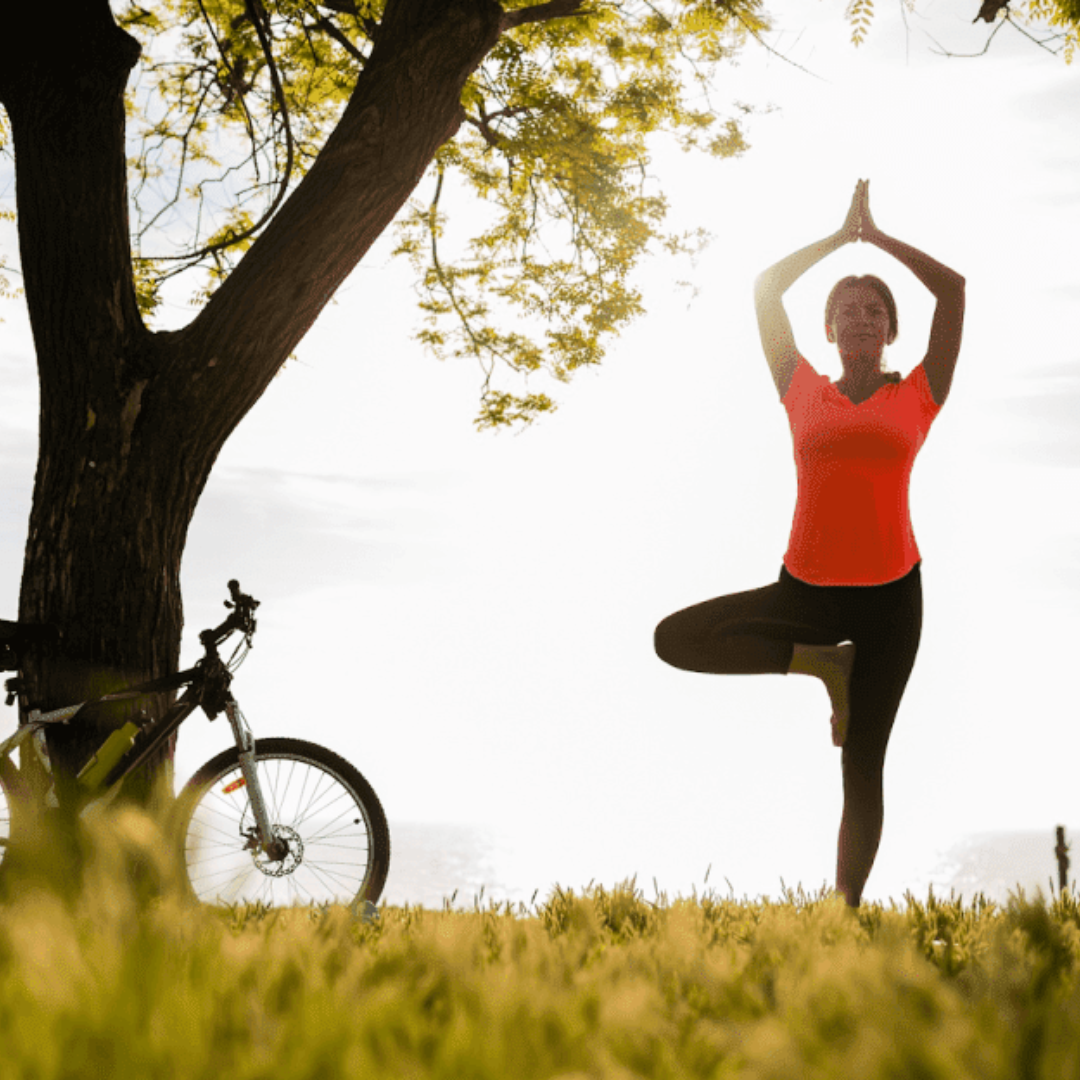 Lifestyle / Wellness