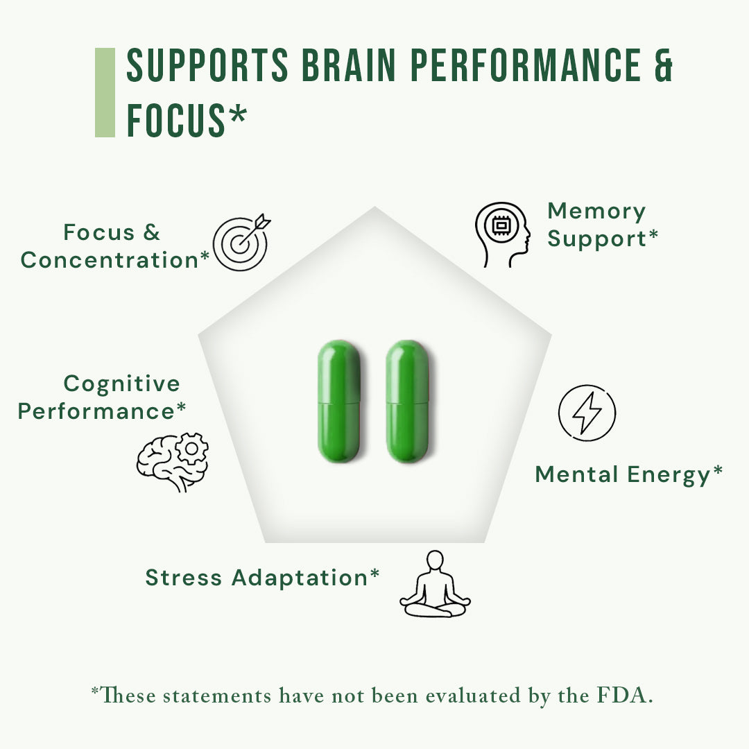 Zyro Life Focus Pro Capsules – Brain Health, Focus & Cognitive Support
