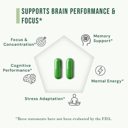 Zyro Life Focus Pro Capsules – Brain Health, Focus & Cognitive Support