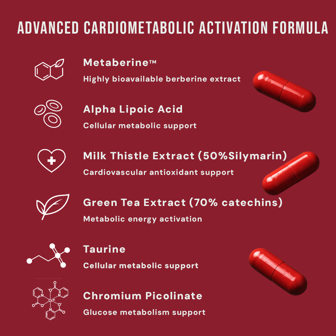 Zyro Life Power Metab Elite Capsules – Metaberine™ Formula for Glucose Metabolism, Energy & Heart Health